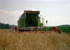 Claas Drescher 23